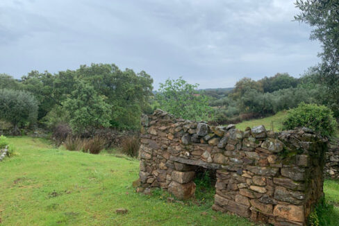 finca-de-2-ha-con-permiso-de-construccion-en-san-vicente-de-alcantara06