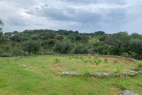 finca-de-2-ha-con-permiso-de-construccion-en-san-vicente-de-alcantara07