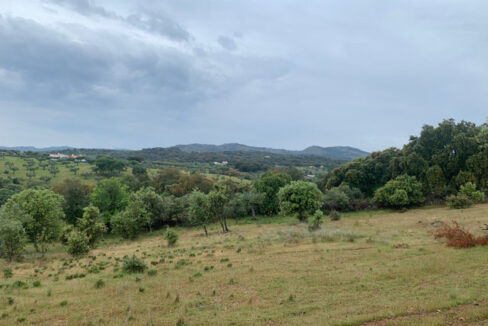 finca-de-2-ha-con-permiso-de-construccion-en-san-vicente-de-alcantara10