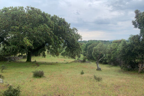 finca-de-2-ha-con-permiso-de-construccion-en-san-vicente-de-alcantara12