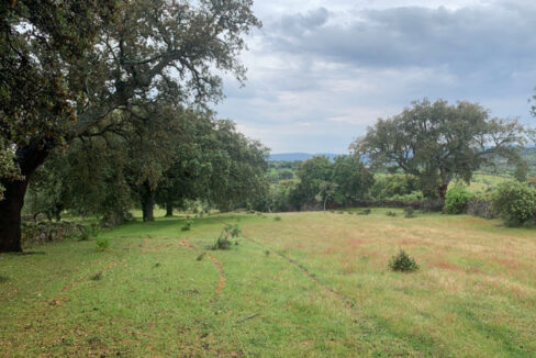 finca-de-2-ha-con-permiso-de-construccion-en-san-vicente-de-alcantara13